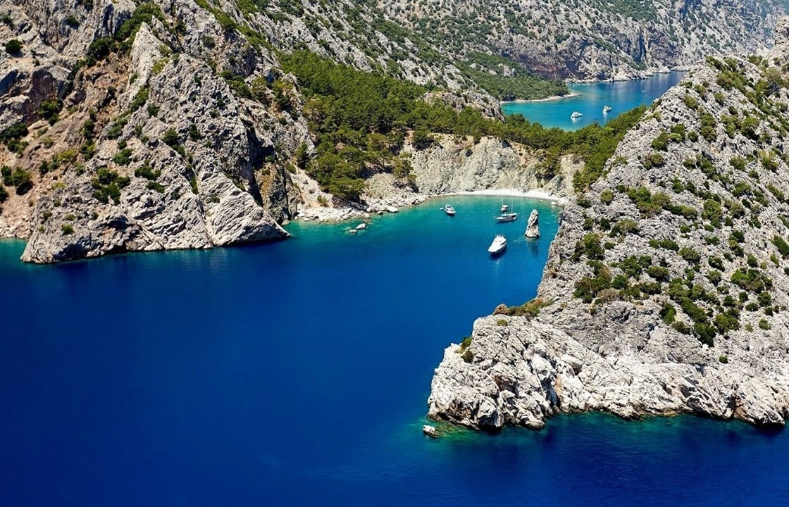 Aquarium Bay - crystal-clear water